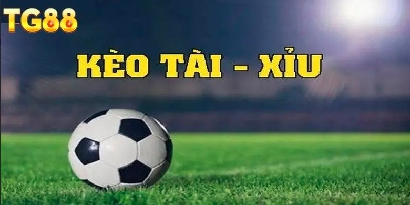 Khái quát về loại kèo tài xỉu TG88